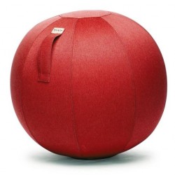 Assise ballon avec poignée - Rouge