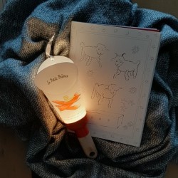 Lampe veilleuse nomade - Le Petit Prince en avion