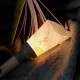 Lampe veilleuse nomade - Le Petit Prince 