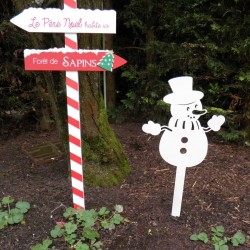 Bonhomme de neige à planter