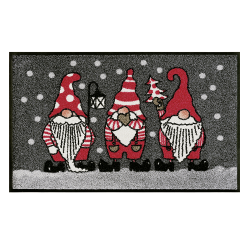 Tapis de passage - Gnomes