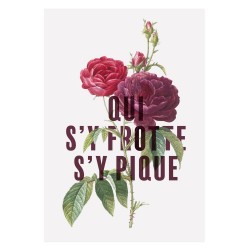 Affiche - Qui s'y frotte s'y pique