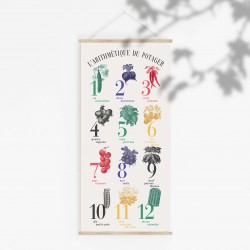 Affiche pédagogique - L'arithétique du potager