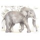 Stickers muraux - Elephant XL