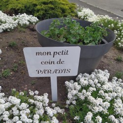 Etiquette de jardin géante - PARADIS