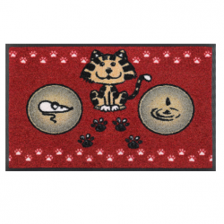 Paillasson tapis de passage - Gamel