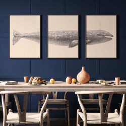 Triptyque - La Baleine Grise