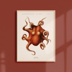 Affiche Coquillages et Crustacés - Le Poulpe