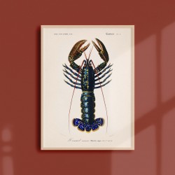 Affiche Coquillages et Crustacés - Le Homard