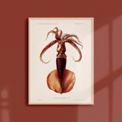 Affiche Coquillages et Crustacés - Le Calamar