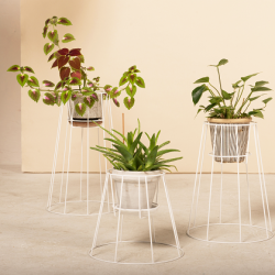 Trio de supports de plantes sur pieds