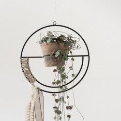 Pendulum pour plante
