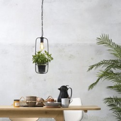 Pendulum éclairé pour plante suspension noire