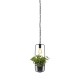 Pendulum éclairé pour plante suspension noire
