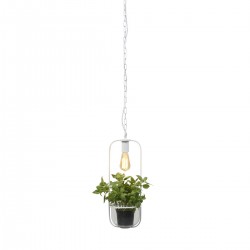 Pendulum éclairé pour plante - suspension blanche