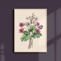 Affiche florale - Primevère de Chine