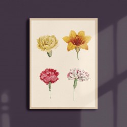 Affiche florale - Composition
