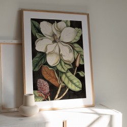 Affiche Tropicale 30 x 40 cm - Magnolia