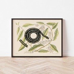 Affiche Tropicale 30 x 40 cm - Serpent