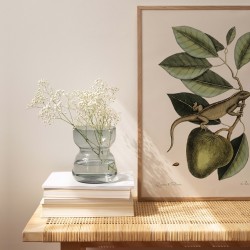 Affiche Tropicale 30 x 40 cm - Iguane