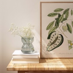 Affiche Tropicale 30 x 40 cm - Lézard