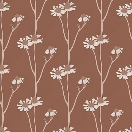 Papier peint - Fleurs de Camomille sur fond brun